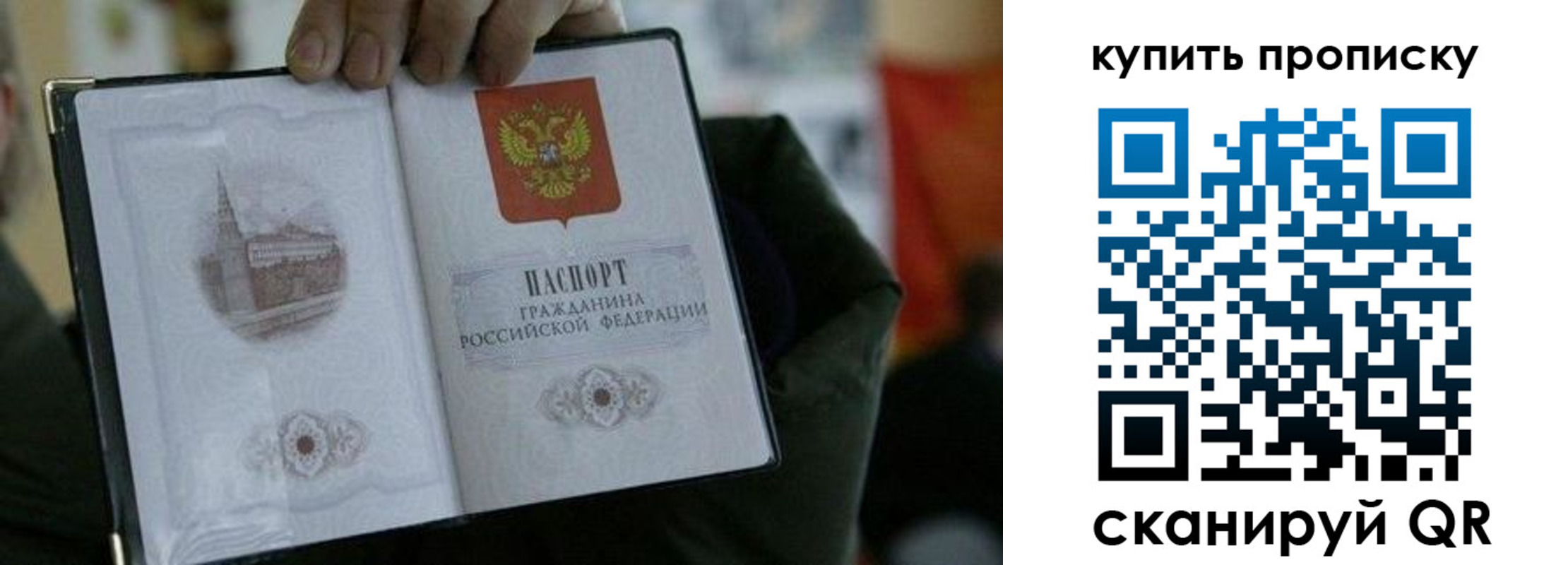 временная регистрация поиск в Тимашёвске